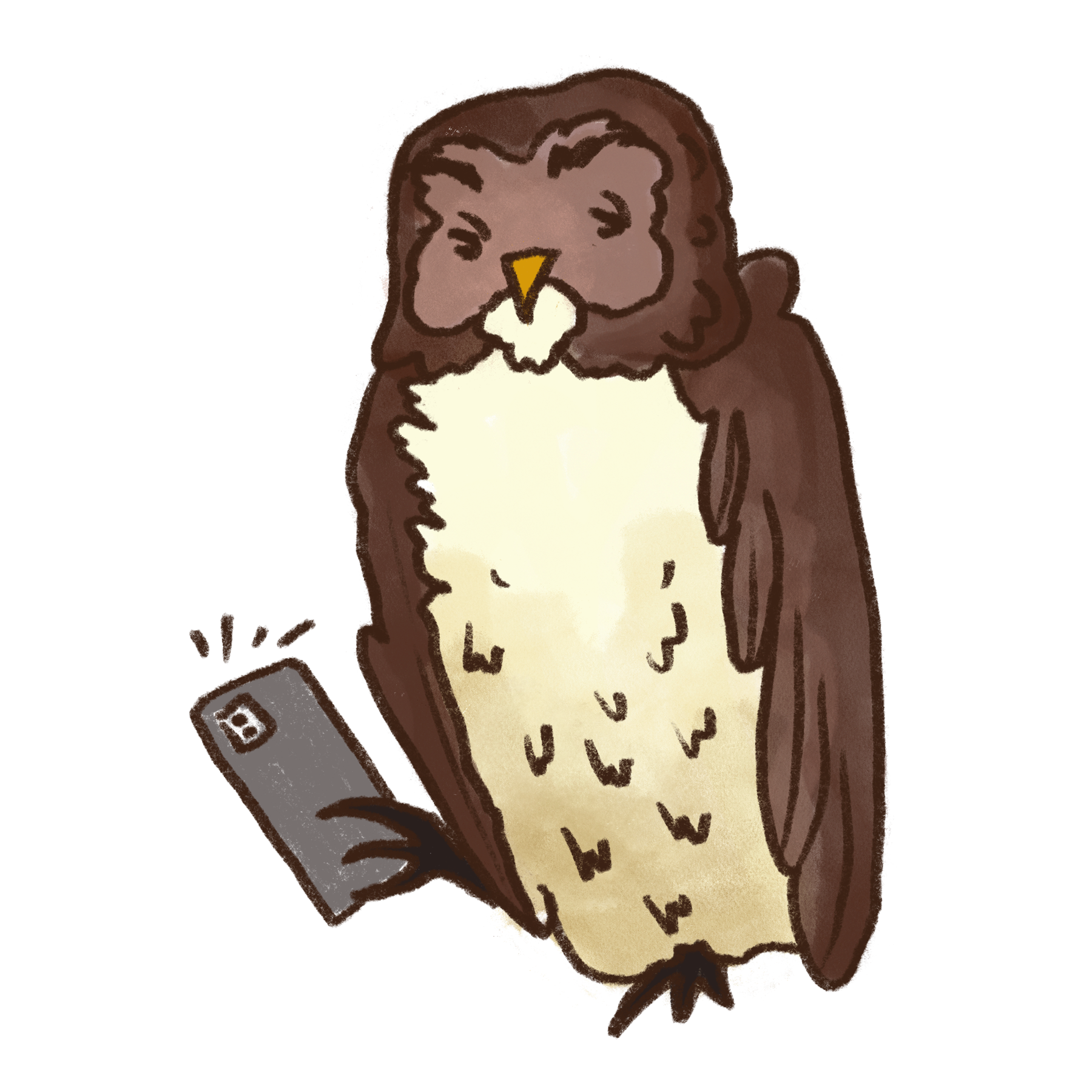 Owl holding a phone. Image for Alex. Illustration by Caitlin Rowlings.