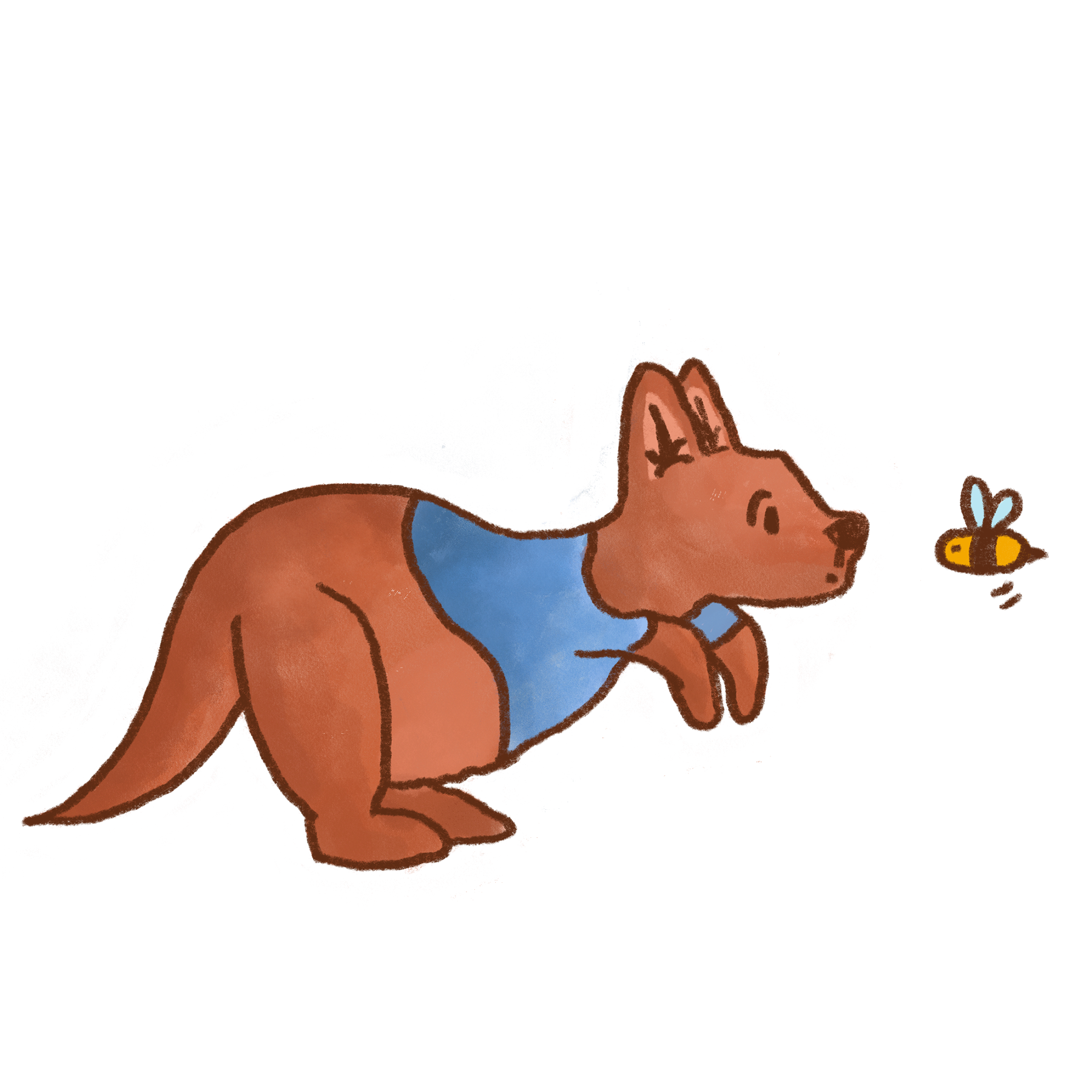 Roo looking at a bee. Image for Sean. Illustration by Caitlin Rowlings.